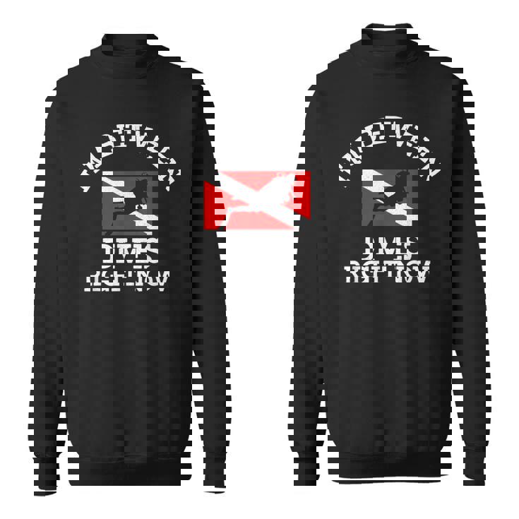 スキューバダイビング ダイバー ダウン ダイブ フラッグ ダイブ スウェットシャツ