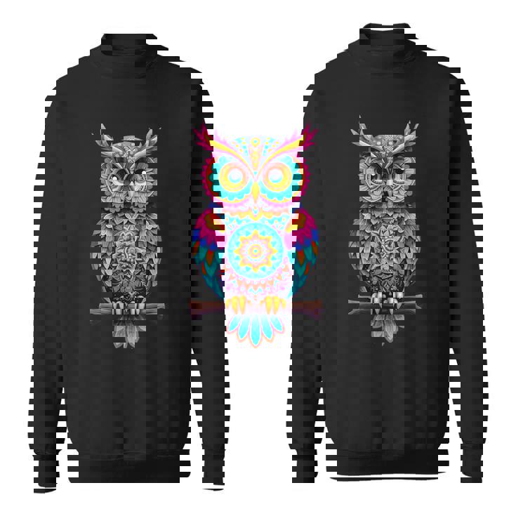 ストリートアートファンのためのストリートアートフクロウ、アーティストスプレー。 スウェットシャツ