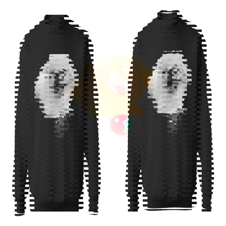 スマイル ペキニーズサニー スウェットシャツ