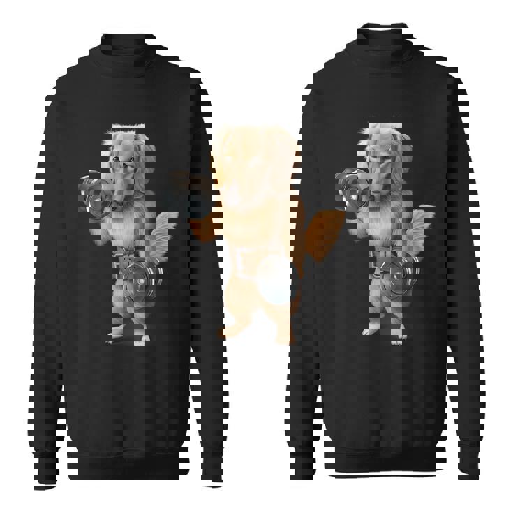 ダックスフンド 犬の筋肉トレーニング ダンベル付き フィットネスジム スウェットシャツ