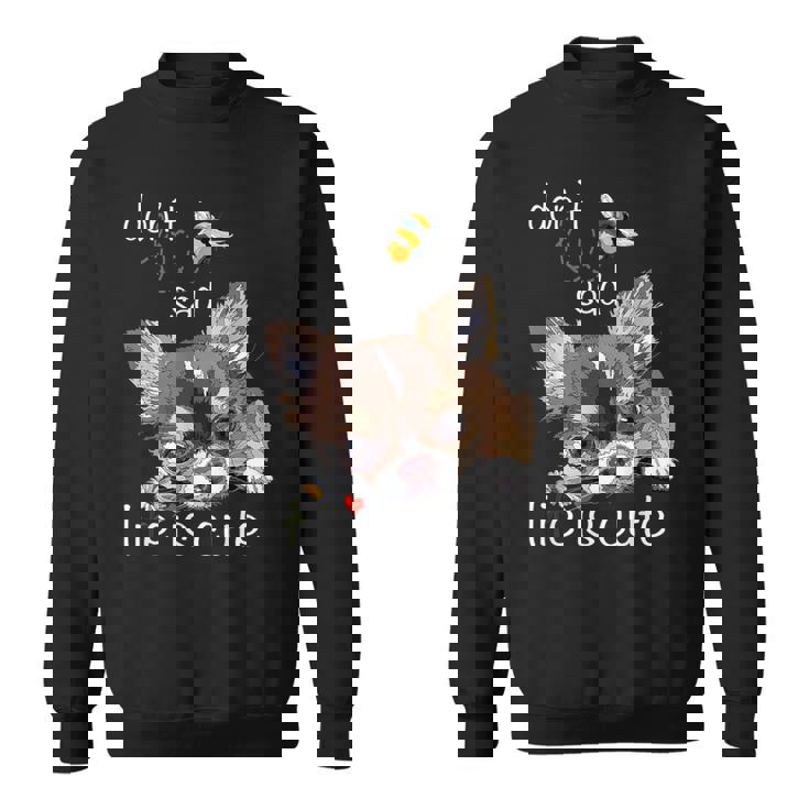 チワワ ロングヘア チワワ ロングヘア 子犬 犬好き スウェットシャツ