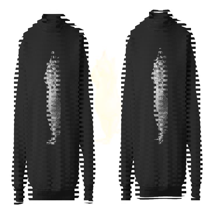 チンチラヨガ スウェットシャツ