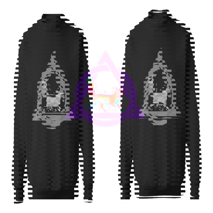 テリアン・ウェア・デルタフォックス スウェットシャツ