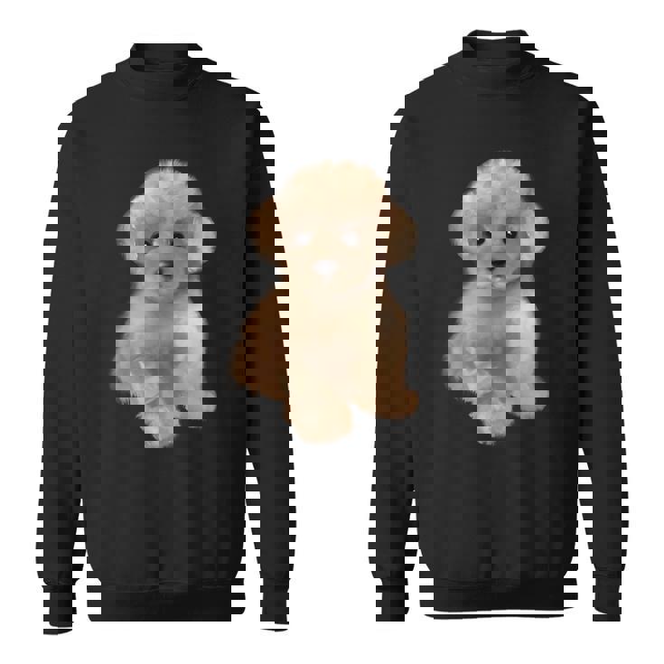 トイプードル犬、品種、ミニプードル子犬 スウェットシャツ