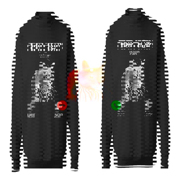 トリッピ・トロッピはブレインロット・イタリアン・ブレインロット・ミームを呼んでいる。 スウェットシャツ