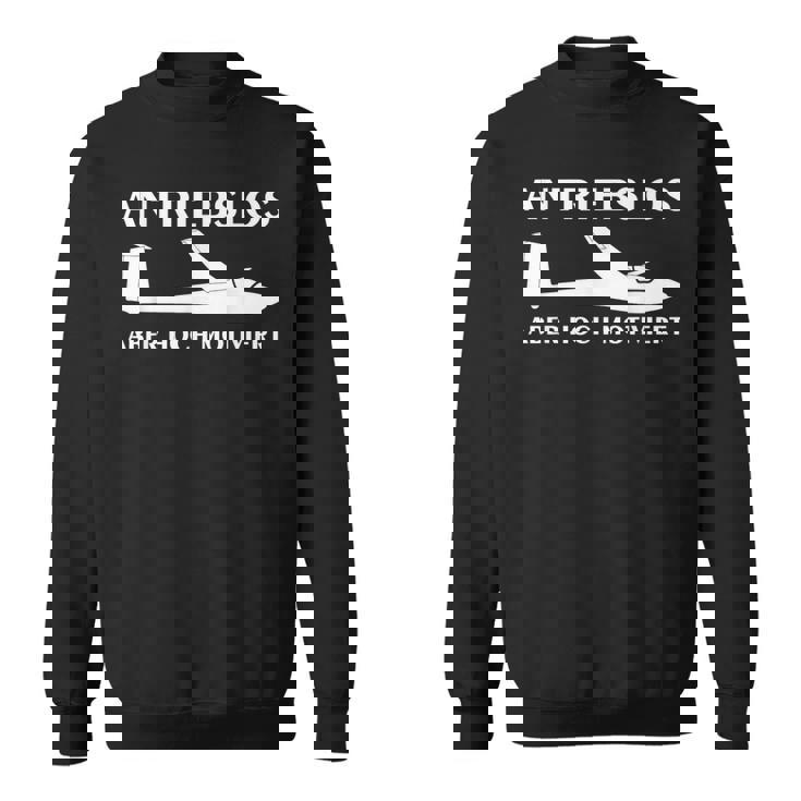 ドライブレス 楽しいグライダー 飛行機 セーリングフライヤー スウェットシャツ