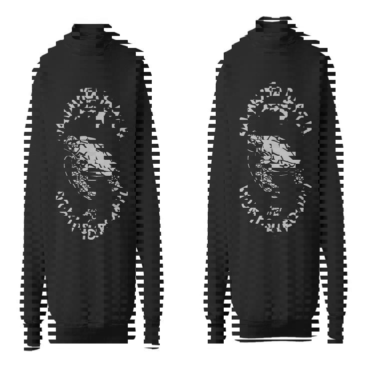 ハワイ ホヌ ウミガメ ラニアクア ビーチ ノースショア オアフ島 スウェットシャツ