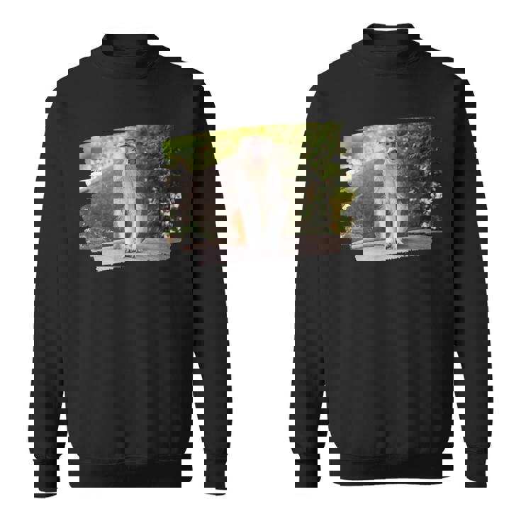 パタス・モンキー スウェットシャツ