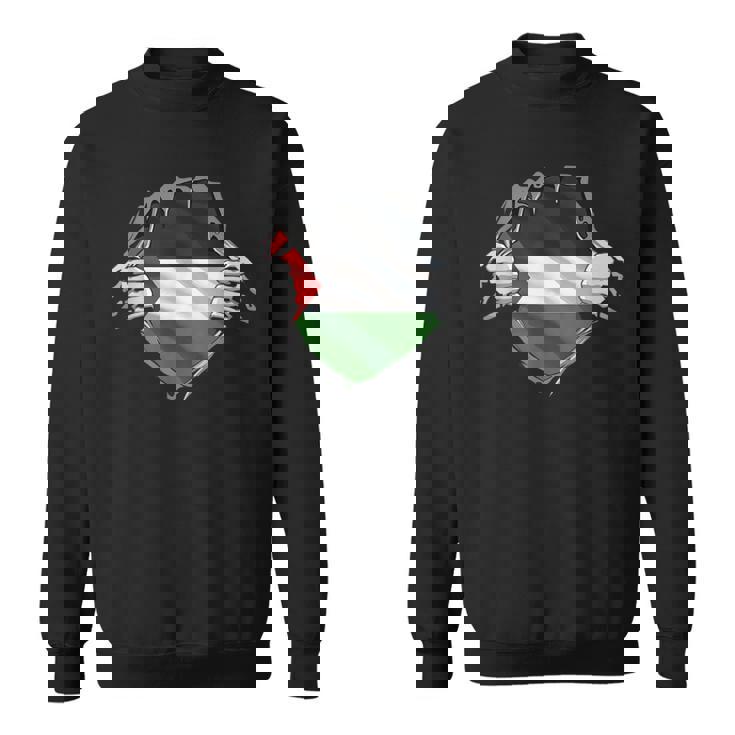 パレスチナシャツ パレスチナ国旗 アラビアのルーツ 遺産 Dna スウェットシャツ