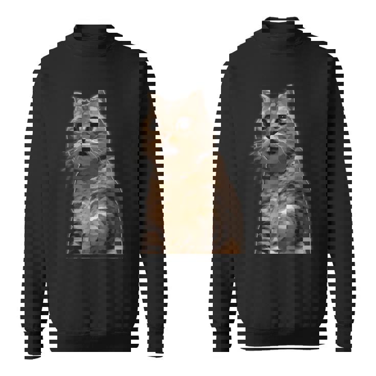 ビックリ猫 驚く猫 猫ミーム びっくり おどろく かわいい 面白い 人気 猫 イラスト スウェットシャツ