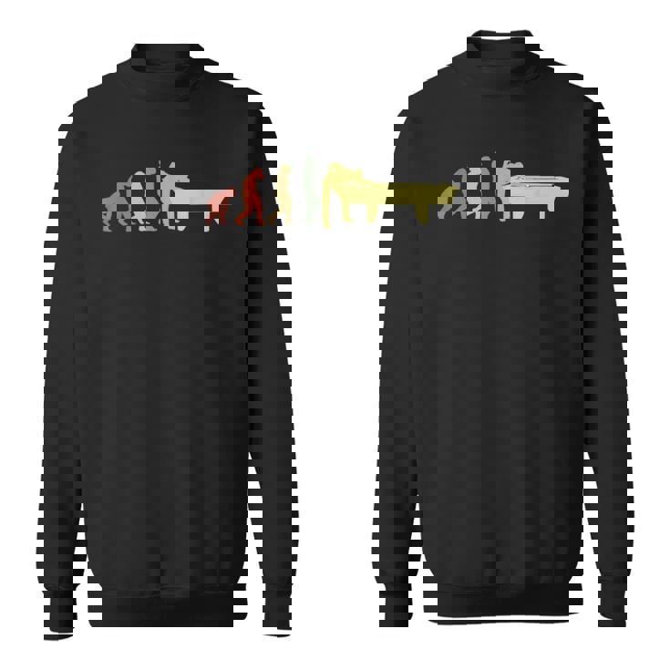 ビリヤード スヌーカー ビリヤード スウェットシャツ