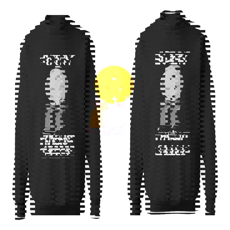 ピックルボール用パドル ラケット、ピックルボール用ボール、ピックルボール スウェットシャツ