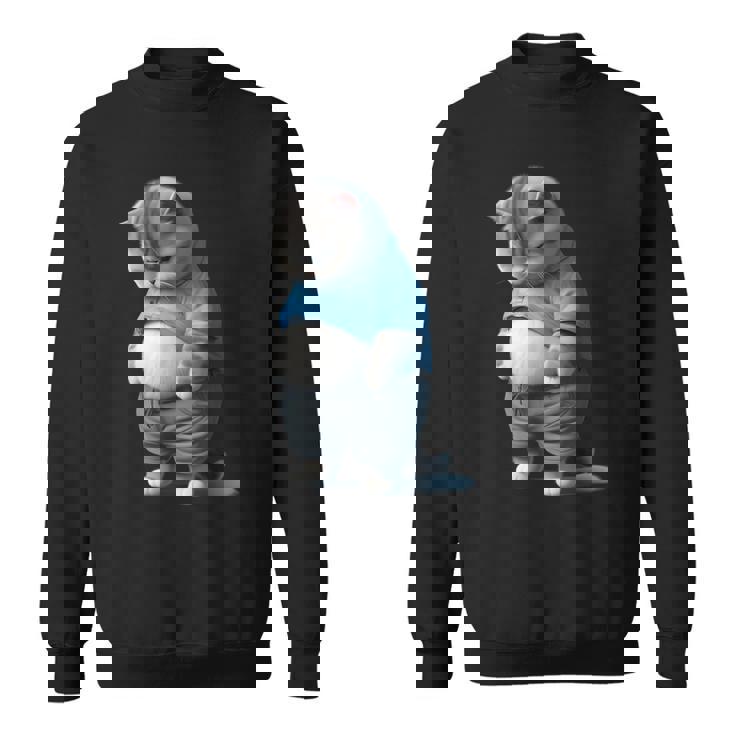 ファニー ファット 悲しい猫 アートデザイン 太った子猫 猫好き スウェットシャツ