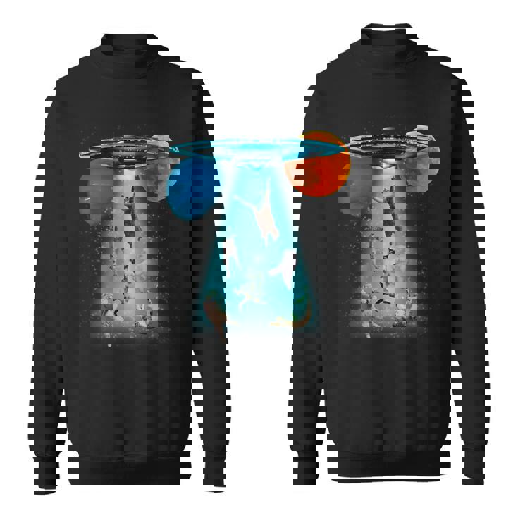 ファニースペースキャット Ufo 宇宙人 空飛ぶ猫 ギャラクシープラネット グラフィック スウェットシャツ