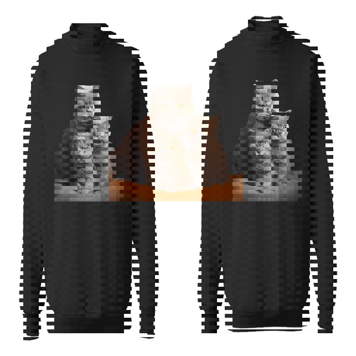 ブリティッシュショートヘアキャット 母の日 ブリティッシュショートヘアキャット スウェットシャツ