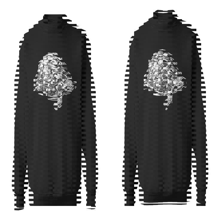 ヘルマンリクガメ スウェットシャツ