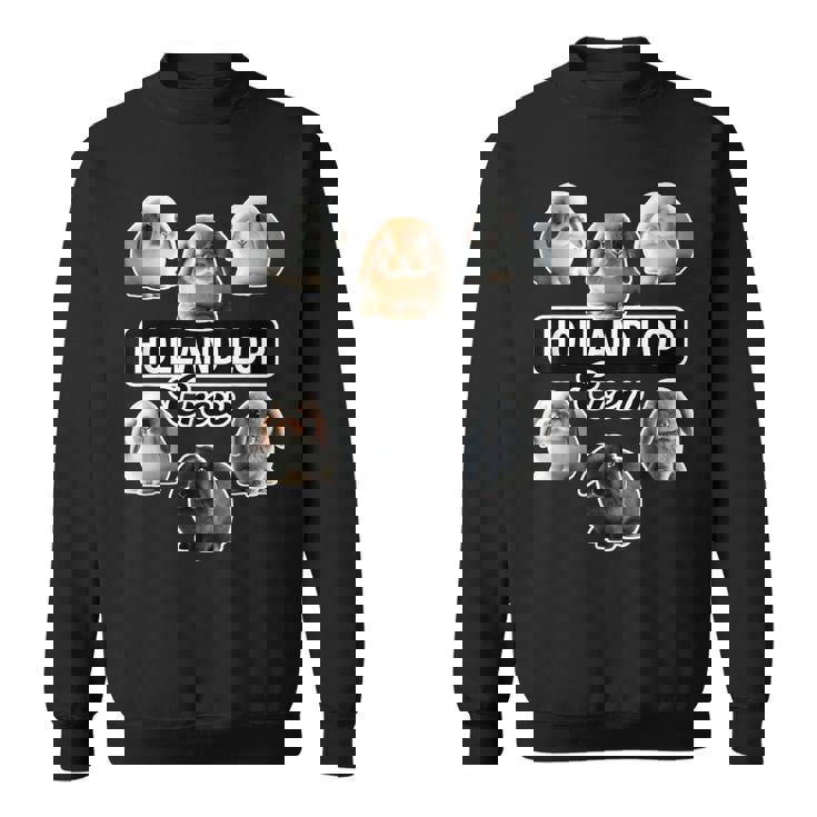 ホーランドロップラビットクルーファニーバニー スウェットシャツ