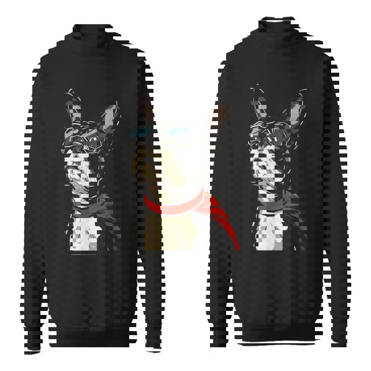 ボストンテリア犬 ボストンテリア スウェットシャツ