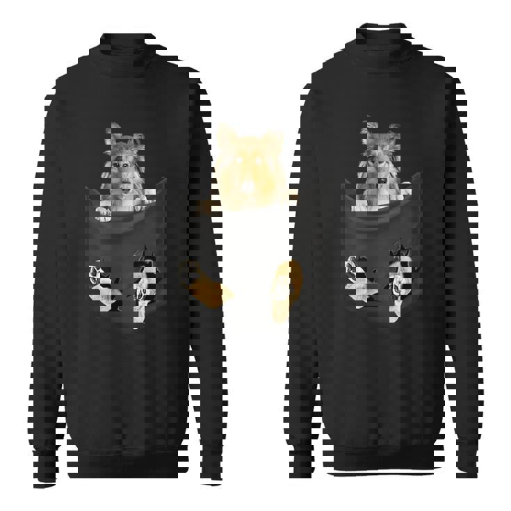 ポケットに入ったセーブルコリー犬、ラフコリーの子犬のぞき見 スウェットシャツ