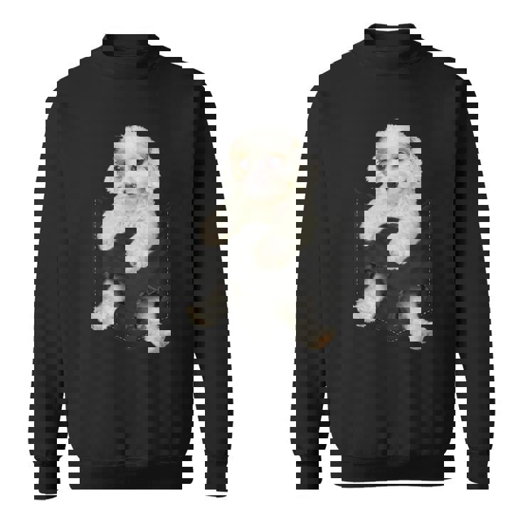 ポケットに入った面白いcavachon Dog Cavachon Dog好きのための スウェットシャツ