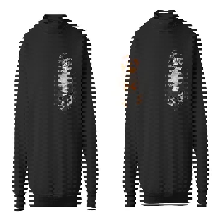 ポケットに入った面白いシェットランドシープドッグ シェルティー愛好家に スウェットシャツ