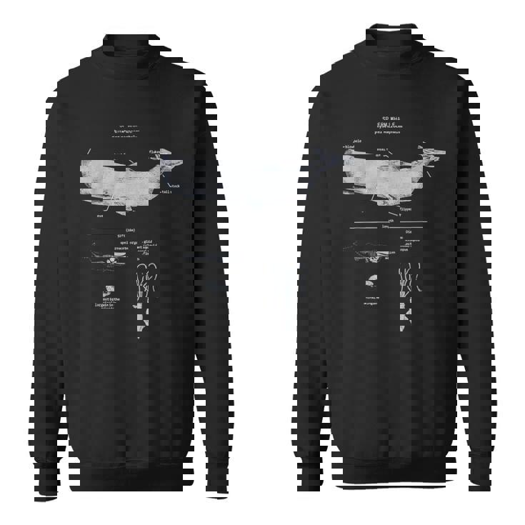 マッコウクジラの解剖学 海洋生物学者 スウェットシャツ