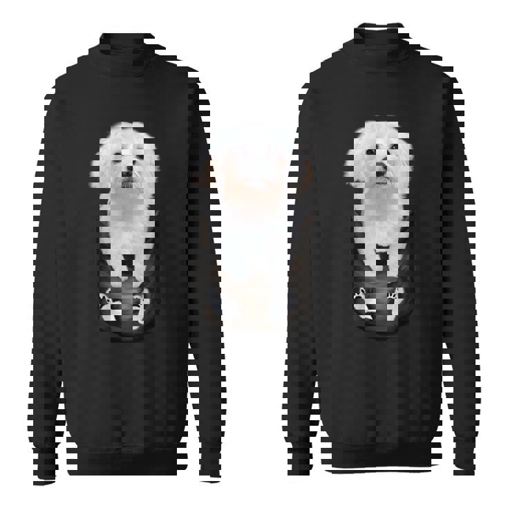 マルチーズ マルタ犬 マルタ語 スウェットシャツ