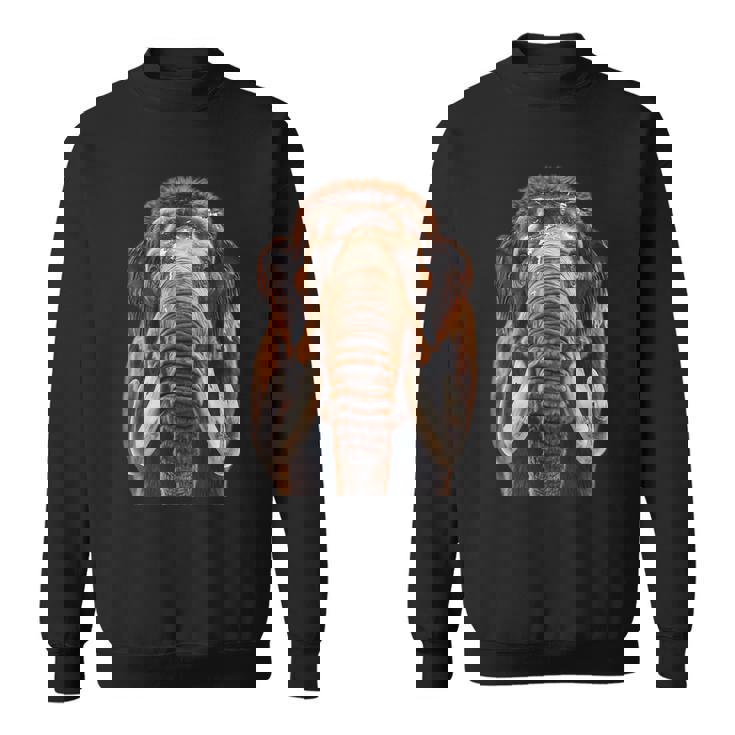 マンモス スウェットシャツ