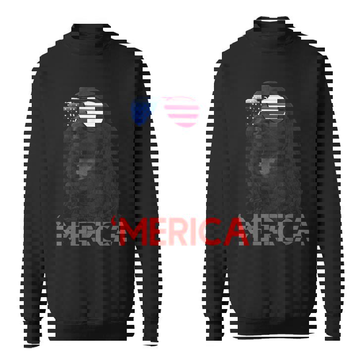 メリカ Englsh Cockerspaniel アメリカ国旗 7月4日 スウェットシャツ