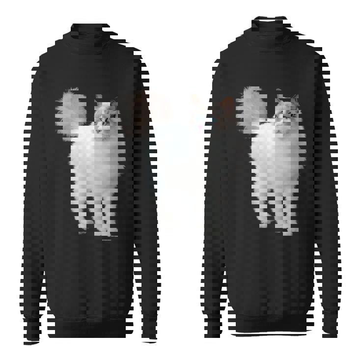 ラグドール 猫のポートレート ラグドール キャットヘッド ラグドール 猫の顔 スウェットシャツ