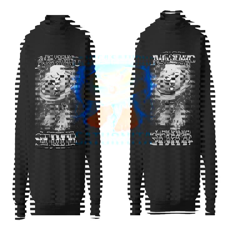 ラヴァカサトゥルノサトゥルニタ-イタリアンブレインロットミーム スウェットシャツ