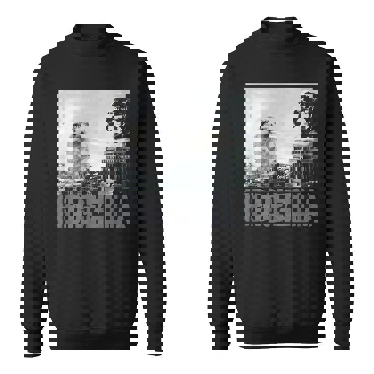 レア ハリネズミ ヒーロー 新聞写真 ハリネズミアート スウェットシャツ