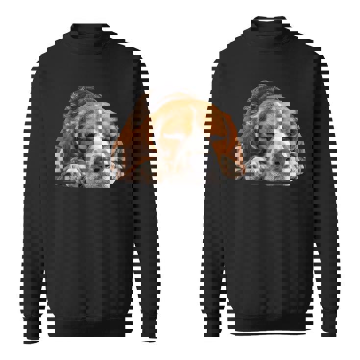 レイジービーグル スウェットシャツ