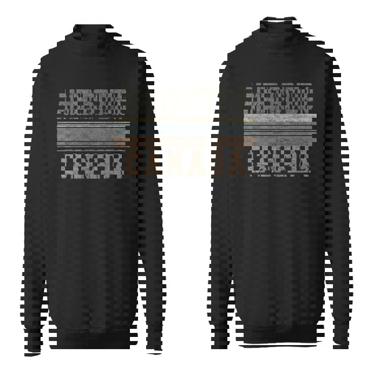 レトロ アマーストバーグ カナダ スウェットシャツ