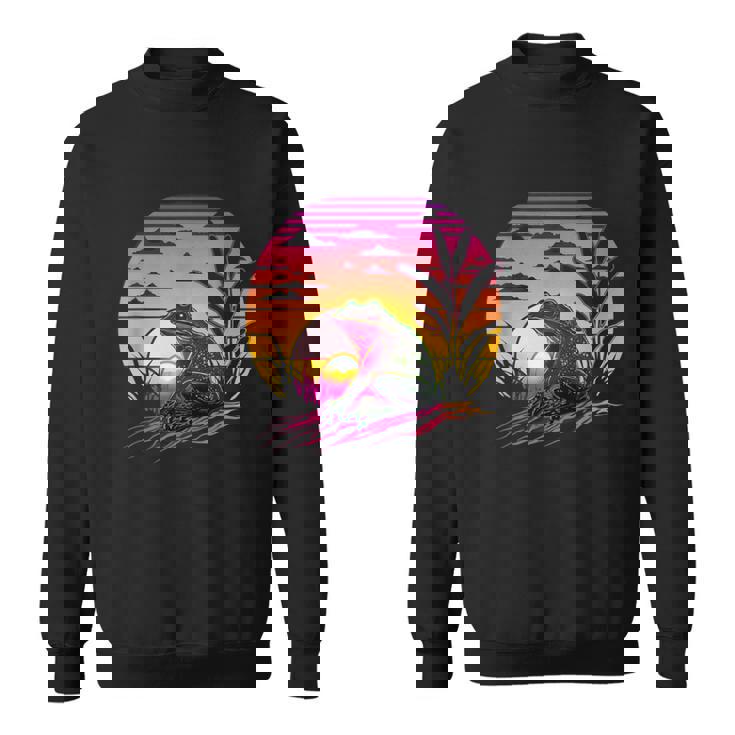 レトロなエステティックフロッグ スウェットシャツ