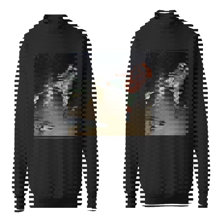 ワニを蹴る男 スウェットシャツ