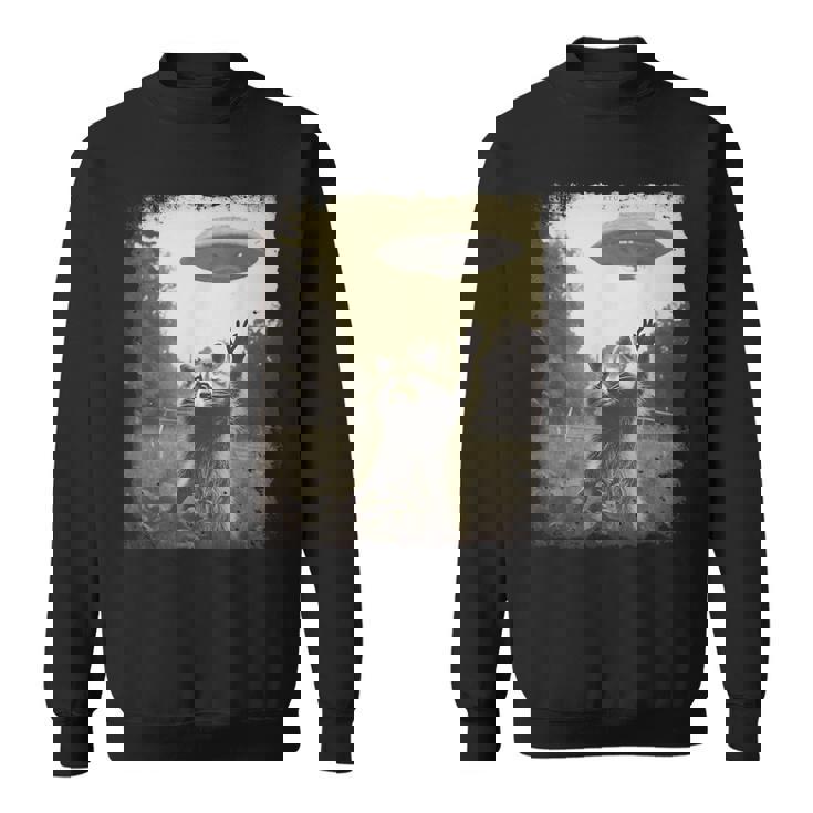 ヴィンテージ ヒップスター レトロ Hip Hop Uap ストリートウェア エイリアン 面白い Ufo ラクーン スウェットシャツ