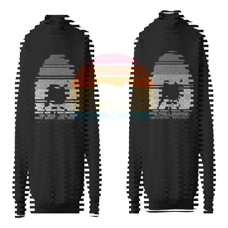 ヴィンテージ レトロ サンセット パタゴニア マーラ 恋人 アンティーク調 スウェットシャツ