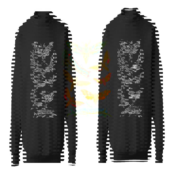 ヴィンテージ蛾 科学ギフト 昆虫 虫 イラスト スウェットシャツ