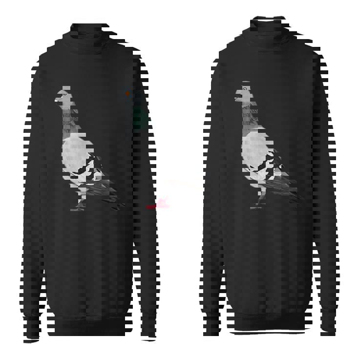 伝書鳩 鳥 動物 図 バードウォッチング 贈り物 鳥類学者 スウェットシャツ