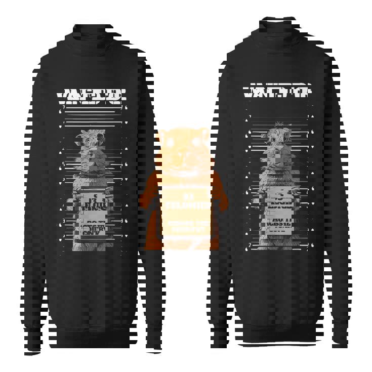 全国指名手配 重犯罪93件ハムスター スウェットシャツ