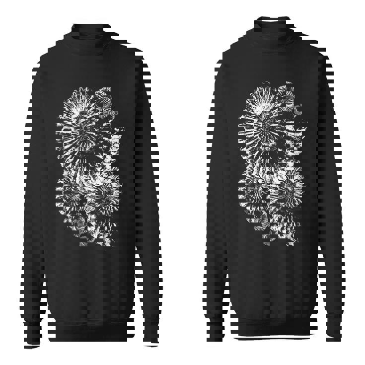 古生物学者化石アンモナイト スウェットシャツ