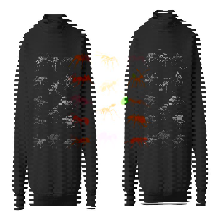 多くの種類のアリ スウェットシャツ