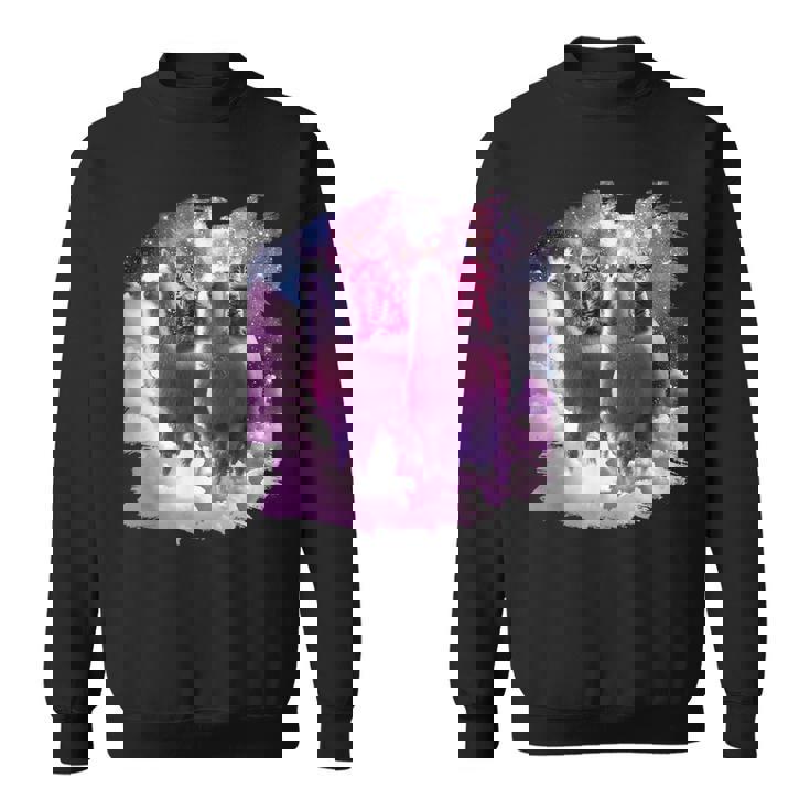 宇宙で虹色のラマに乗る子猫 スウェットシャツ