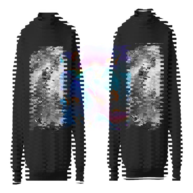 宇宙猫 乗馬サメ ギャラクシー レインボーキャット オンシャークス スウェットシャツ