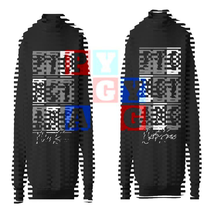 平壌 北朝鮮 旅行 バケーション お土産 スウェットシャツ