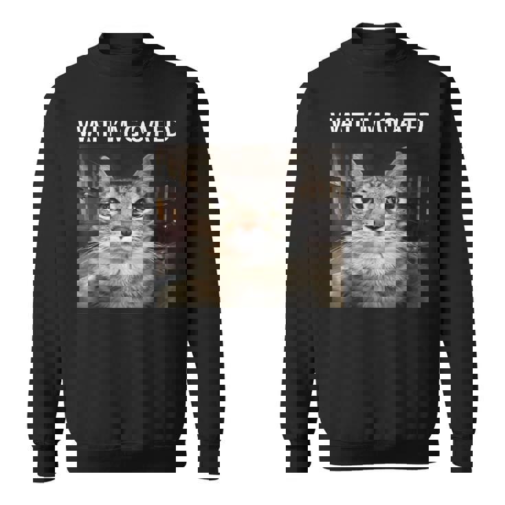 待ってよヤギの愚かな猫のミーム スウェットシャツ
