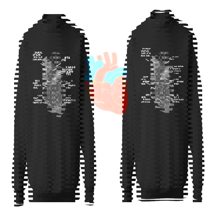 心臓解剖学教育 循環器学 スウェットシャツ