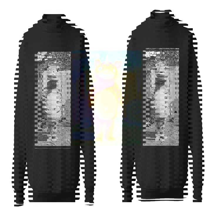 快獣ブースカシリーズ リアルスチール カラー スウェットシャツ