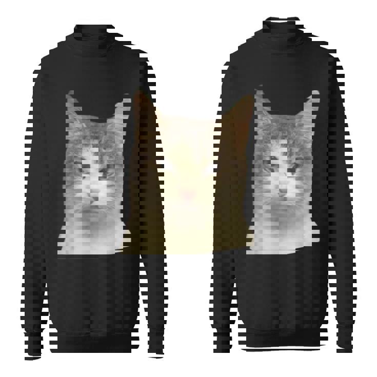 怒っている猫 リアル ミーム ウイルス インターネット スウェットシャツ